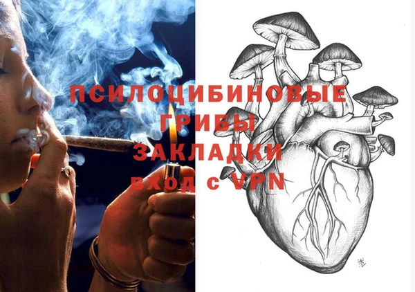 сатива Магадан