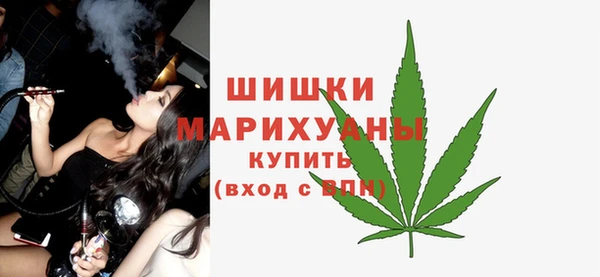 сатива Магадан
