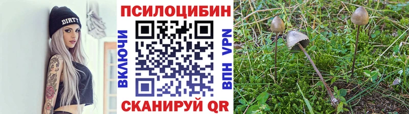 Псилоцибиновые грибы прущие грибы  Братск 