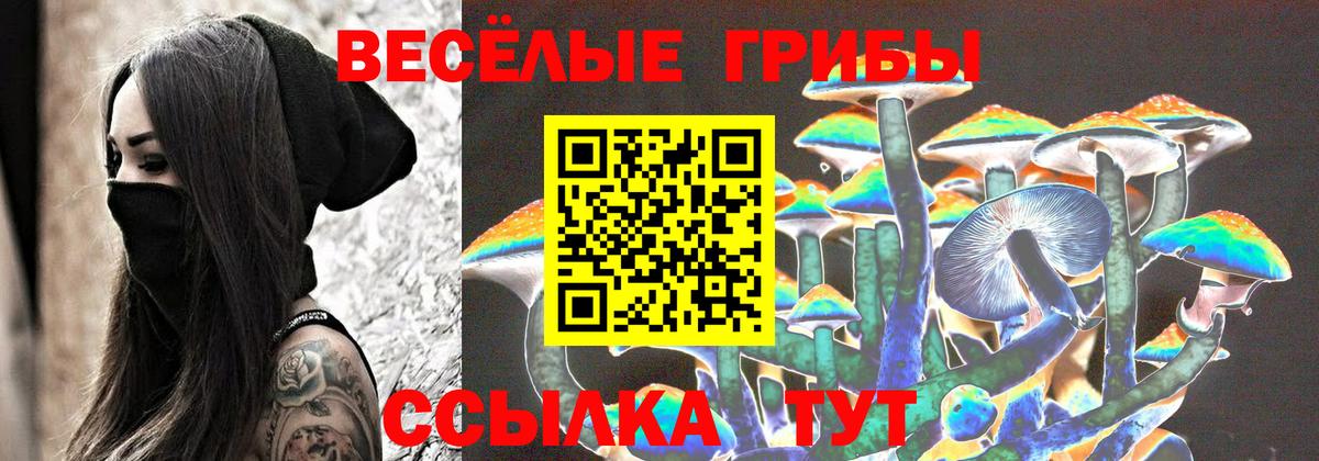 Галлюциногенные грибы MAGIC MUSHROOMS Братск